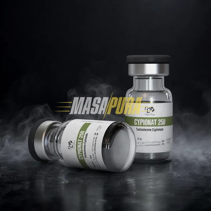 Cypionat 250 250mg/ml 10ml Vial de la Dragon-Pharma